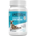 Produktbild: Biologische Heilmittel Heel GmbH GASTEEL Diät-Erg.Futterm.Kapseln f.Hunde/Katzen 50 St 093443