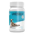 Produktbild: Gasteel Diät-Ergänzungsfuttermittel Kapseln für Hunde / Katzen · 50 St · PZN 191
