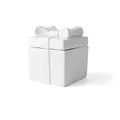 Produktbild: Holst Porzellan GD 010 Geschenkdose Päckchen, weiß, 10 x 10 x 12 cm 2 Stück