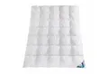 Produktbild: Haeussling Daunenbettdecke Häussling Daunendecke Hjemme hygge home Plissee 135x200 cm, Füllung: 90% Daunen, 10% Federn, Bezug: 100% Baumwolle