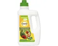 Produktbild: Brennnessel Sud Solabiol 1 L