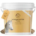 Produktbild: Annimally Senior Mineralfutter Pferde getreidefrei - Ergänzungs Pferdefutter für Senior Pferde mit Vitaminen, Mineralstoffen und Spurenelementen, wie Zink, Selen, Omega 3 & Jod (3 kg Eimer)