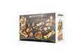 Produktbild: Warhammer AoS - Dominion of Sigmar: Timeworn Ruins