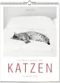 Produktbild: Literarisch durchs Jahr – KATZEN-Kalender 2026 - Wochenkalender mit anmutigen Katzenfotos & schönen Zitaten für Katzenliebhaber