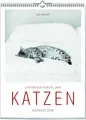 Produktbild: Katzen - Literarisch durchs Jahr 2026 | Wochenkalender | Vivendi Ars | Deutsch