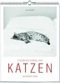 Produktbild: Katzen - Literarisch durchs Jahr 2026 Vivendi Ars