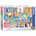 Produktbild: Puzzle - Yoga Hunde - 1000 Teile