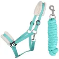 Produktbild: ARBO-INOX® Reithalfter Halfter-Set Starter mit Kunstfell Halfter und Führstrick grün Full Warmblut