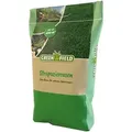 Produktbild: Greenfield Strapazierrasen | 10kg Kunststoffsack