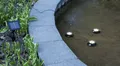 Produktbild: LED-Solar-Wasserlicht 'Water Light', 3 Spots, schw