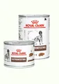 Produktbild: Royal Canin Gastro Intestinal  (24x200g Dosen)