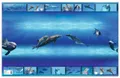 Produktbild: HERMA Schreibunterlage 'Afrika Tiere', (B)550 x (H)350 mm