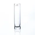 Produktbild: Glasvase, hohe Blumenvase, Solifleur, schlanke Vase aus Glas, Ø5 x 20cm