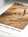 Produktbild: Hahnemühle 10641912 Photo Matt Fibre Duo Papier, 210 g/m², DIN A3+, 329 x 483 mm, naturweiß