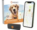 Produktbild: GPS Tracker weenect für Hunde 28 g, 6 x 2,4 x 1,5 cm, schwarz