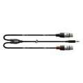 Produktbild: Cordial CFY 1.8 WFF Y-Adapterkabel XLR female 1,8 m Rean Stecker