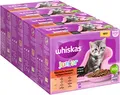 Produktbild: Whiskas Junior Katzennassfutter Klassische Auswahl in Sauce, 48 Portionsbeutel, 12x85g (4er Pack) – Hochwertiges Katzenfutter nass, für heranwachsende Katzen von 2 bis 12 Monaten