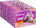 Produktbild: Whiskas Junior Katzennassfutter Sauce Auswahl 48Beutel 12x85g