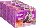 Produktbild: Whiskas Junior Katzennassfutter Katzenfutter Klassische Auswahl in Sauce 12x85g