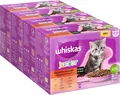 Produktbild: Whiskas Junior Katzen-Nassfutter Auswahl in Sauce, 48 Beutel, 12x85g, Katzen