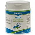 Produktbild: Canina® Velox Gelenk-Energie