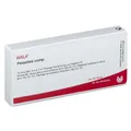 Produktbild: Wala® Petasites Comp. Amp.