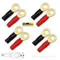 Produktbild: Sinuslive RKS-10 Ringkabelschuhe 10mm² 8 St 24 Karat Kabelschuhe Powerkabel Ring