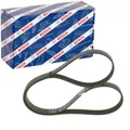 Produktbild: BOSCH KEILRIPPENRIEMEN 6PK1345 passend für ALFA ROMEO GIULIETTA TONALE FIAT 500L