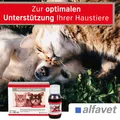 Produktbild: ReConvales Cardio Herz Kreislauf Hund Katze