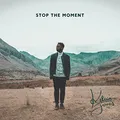 Produktbild: Stop the Moment [Vinyl LP]