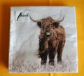Produktbild: 20 Servietten Highlander Kühe Kuh 1 Packung OVP Motivservietten Rinder Tiere AMB