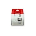 Produktbild: Canon PG-545 / CL-546 Multipack - 2er-Pack - 8 ml - Schwarz, Farbe - original - Tintenpatrone - für PIXMA TR4551, TR4650, TR4651, TS3350, TS3351, TS3352, TS3355, TS3450, TS3451, TS3452 (8287B005)