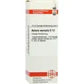 Produktbild: Adonis Vernalis D 12 Dilution 20 ml