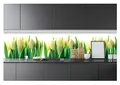 Produktbild: WallArena - Vlies Fototapete Gelbe Tulpen 250x60 cm - Fototapeten - Tapeten - für Wohnzimmer Schlafzimmer - Vliestapete Wandtapete Tapete 3D Effekt- inkl. Kleister - Blumen