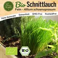 Produktbild: Schnittlauch Samen (BIO) - 500 Samen Kräutersamen Schnittlauchsamen