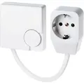 Produktbild: Eberle Controls Temperaturregler Europa RTR-E 3311