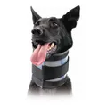 Produktbild: Halskrause für Hunde KVP Schwarz [6-28 cm]