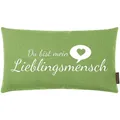 Produktbild: Zierkissen Dekokissen Sofakissen Kissen Lieblingsmensch Kiwi 30 x 50 cm
