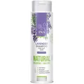 Produktbild: Ina Essentials Natural Shampoo szampon do włosów Lavender 200ml (Flüssiges Shampoo, 200 ml) (3800502058434)
