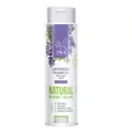 Produktbild: 3800502058434 INA ESSENTIALS Lavender Shampoo naturalny szampon lawendowy do wło