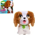 Produktbild: Just Play furReal Poop-a-Lots Cavalier King Charles Spaniel interaktives 20,3 cm