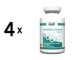 Produktbild: 4 x Zec+ Health+ N-Acetyl L-Cysteine (120) Unflavored (144,13 EUR/kg)