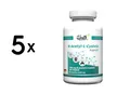 Produktbild: 5 x Zec+ Health+ N-Acetyl L-Cysteine (120) Unflavored (138,38 EUR/kg)