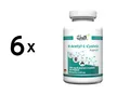 Produktbild: 6 x Zec+ Health+ N-Acetyl L-Cysteine (120) Unflavored (141,01 EUR/kg)