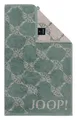 Produktbild: JOOP! Gästetuch