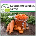 Produktbild: SAFLAX - BIO - Möhren - Herbstkönig - 1000 Samen - Daucus carota