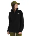 Produktbild: THE NORTH FACE W GLACIER FLEECE 1/4 ZIP JACKET