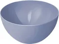 Produktbild: Rotho Schüssel Caruba 3 L