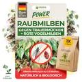 Produktbild: GREEN GUARDIA Power Hypoaspis miles Raubmilben gegen Trauermücken & Rote Vogelmilben – Streuware - Umweltfreundliches Mittel zur effektiven Schädlingsbekämpfung – (1x Tüte für 10m²)