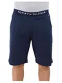 Produktbild: Tommy Hilfiger Herren Jersey Short Gr. XL Blau UM0UM01203-416